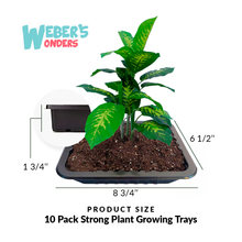 Load image into Gallery viewer, Seed Starter Trays 10 Pack - Gardening Gift
