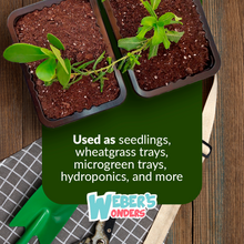 Load image into Gallery viewer, Seed Starter Trays 10 Pack - Gardening Gift