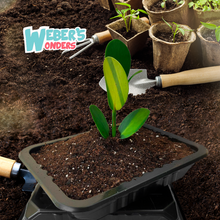 Load image into Gallery viewer, Seed Starter Trays 10 Pack - Gardening Gift