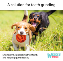 Load image into Gallery viewer, Treat Ball for Dogs - Food Dispensing Puppy Toy